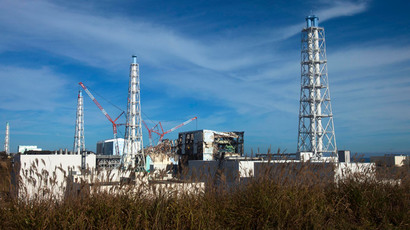Radioactive reindeer: Mushrooms blamed for Cesium spike in Norway