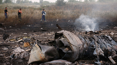 MH17 might have been shot down from air – chief Dutch investigator