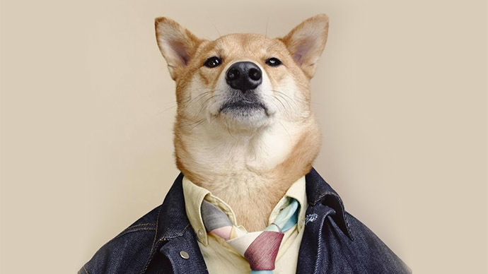 MenswearDog with $15k smile meets fans at NYC dog parade (VIDEO)