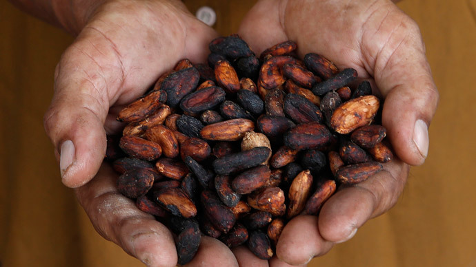Cup of cocoa a day keeps memory loss away – scientists