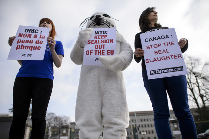 People for the Ethical Treatment of Animals (PETA) activists stage a demonstration against the seal hunting in front of the World Trade Organization (WTO) headquaters on February 18, 2013 in Geneva. (AFP Photo / Fabrice Coffrini)