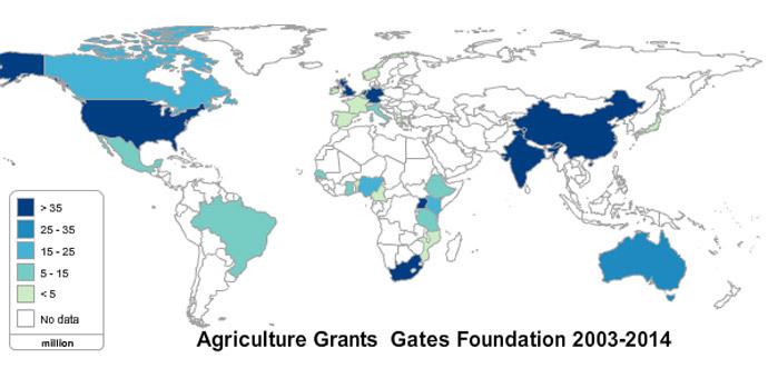 Image from grain.org