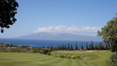 Monsanto to pay $2.4mn to farmers over 2013 GMO-wheat scare