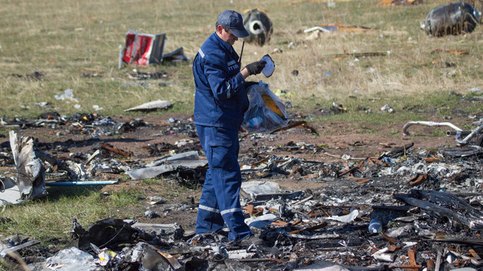 An Emergencies Ministry member searches for belongings at the site where the downed Malaysia Airlines flight MH17 crashed, near the village of Grabovo in Donetsk region, eastern Ukraine, October 13, 2014.(Reuters / Shamil Zhumatov)