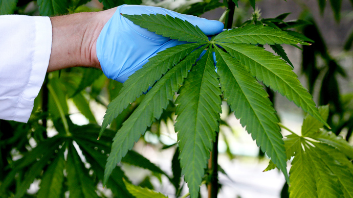 Cannabis combined with radiotherapy can make brain cancer ‘disappear,’ study claims