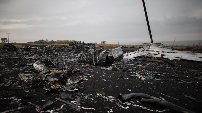People stand near the remains of fuselage where the downed Malaysia Airlines flight MH17 crashed, near the village of Hrabove (Grabovo) in Donetsk region, eastern Ukraine.(Reuters / Marko Djurica)