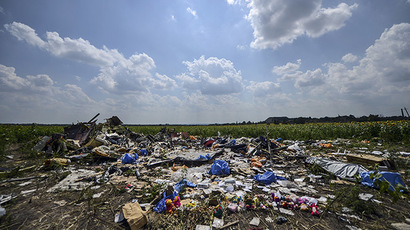 Netherlands rejects MH17 relatives' request for UN investigation