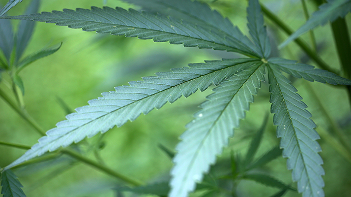 Congress to block marijuana legalization in DC