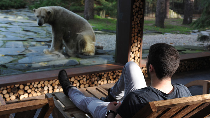 En-suite bear: French zoo offers tourists a room next to polar bear enclosure