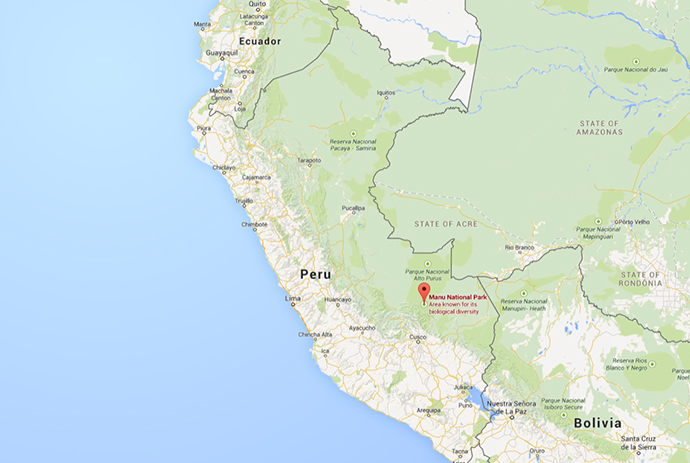 Google Maps