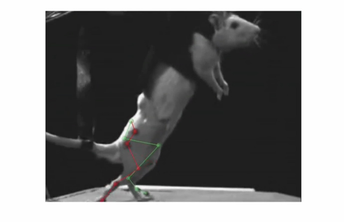 Screenshot from youtube by Ãcole polytechnique fédérale de Lausanne (EPFL)