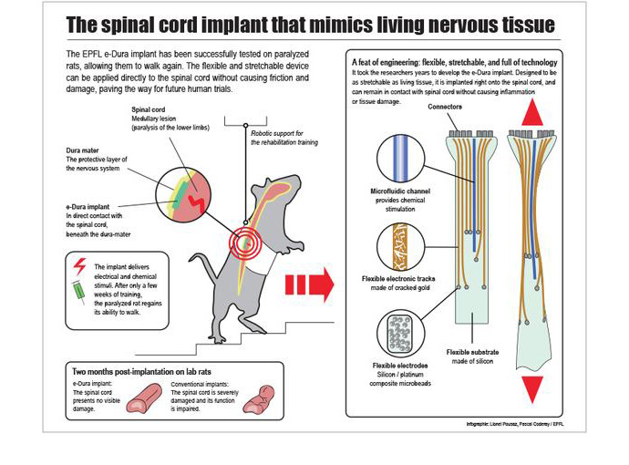 image from http://actu.epfl.ch