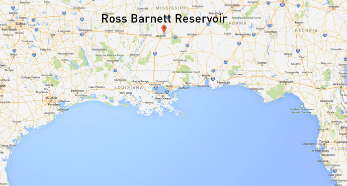 Google Maps