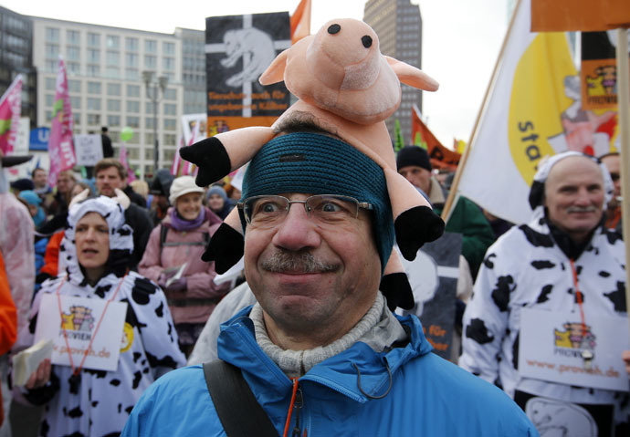 A demonstrators takes part in a German farmers and consumer rights activists march to protest against the Transatlantic Trade and Investment Partnership (TTIP), mass husbandry and genetic engineering in Berlin, January 17, 2015. (Reuters/Fabrizio Bensch)