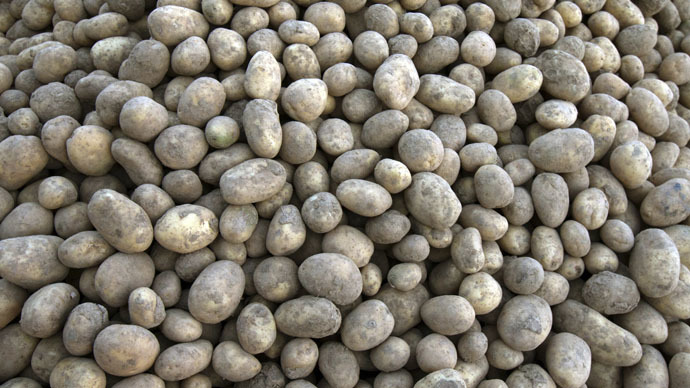 GMO potato seeks FDA approval, opponents say safety risks remain