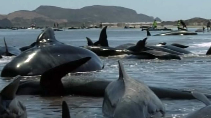 Screenshot from AP video