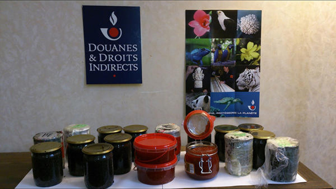 Image from interpol.int