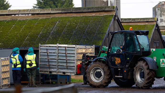 ‘Stark choice’: Britain will import 50% of food by 2040, farmers union warns