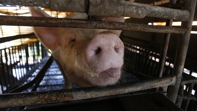 Deaf man fined for calling police officer ‘pig’ in sign language