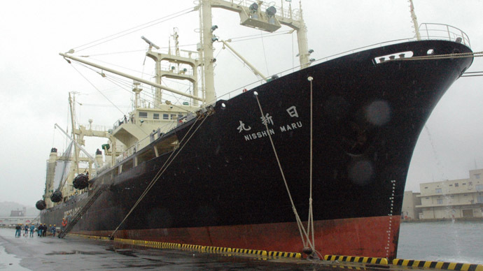 ‘First time in 30 years’: Japan whaling ships return from Antarctic trip EMPTY