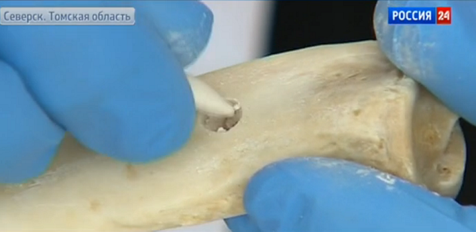 Screenshot from video by Rossiya 24 TV channel