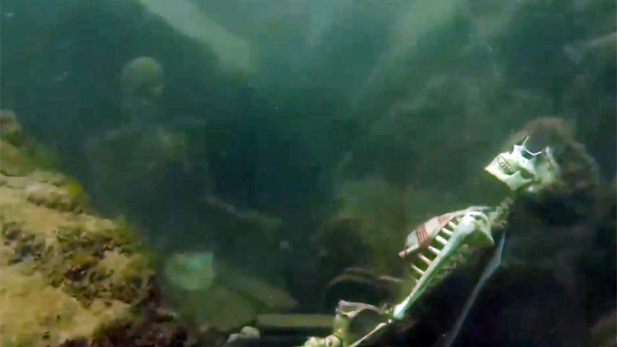 Weekend at Bernie’s 3: Snorkeler discovers underwater skeleton tea party