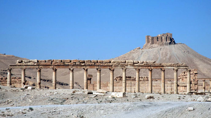 'Ditch double standards!' Russia seeks united anti-ISIS front after Palmyra massacre