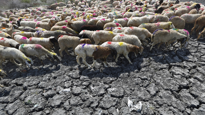 Asphalt melting: India heat wave kills over 1,400 people (PHOTOS)