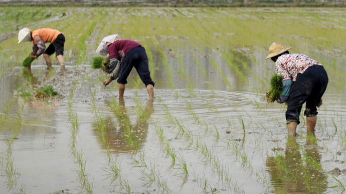 Hong Kong-sized plot of Russian land leased to Chinese agrofirm