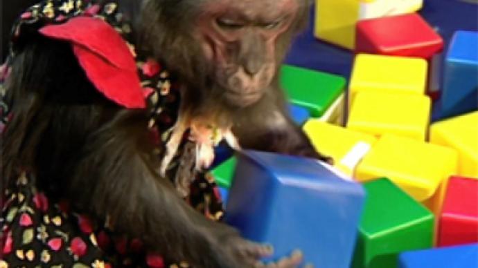 Making a monkey out of professionals with stock picks