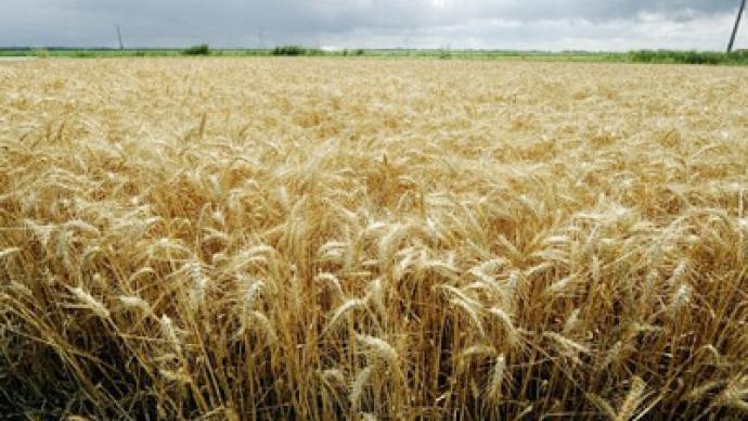 Razgulay posts FY 2010 net profit of 143 million roubles