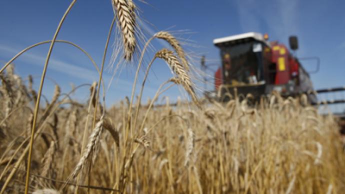 Russia might abolish cereal import duties in two months
