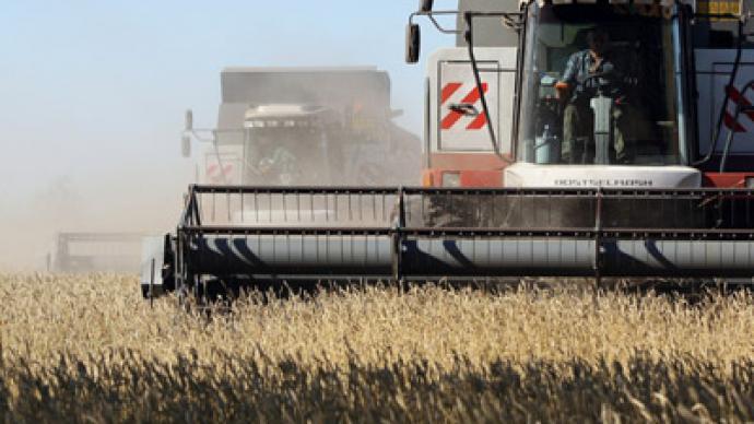 Russia’s grain has its own future(s)