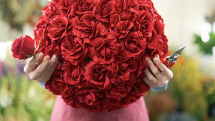 Roses de Florence, from Central Russia