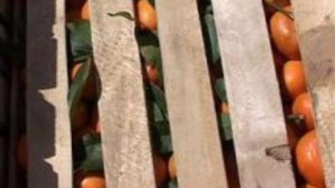 Tangerine tug-of-war continues