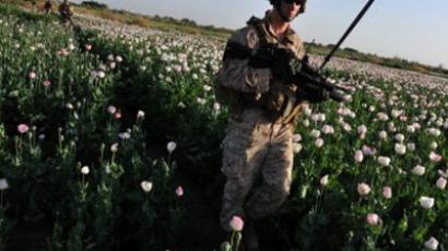 Afghanistan expecting record opium crop