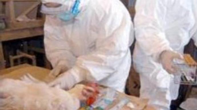 Alarm grows as H5N1 spreads around Moscow