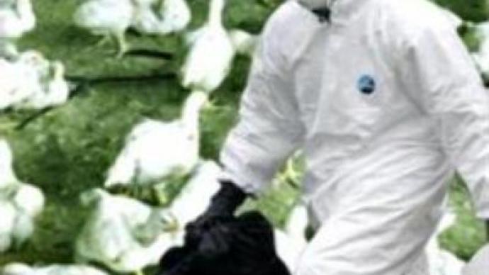 Bird flu over in Moscow region