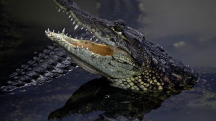 Great escape: Army and police called in as 15,000 crocodiles flee South African farm