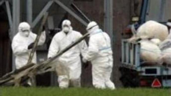 Deadly strain of avian flu confirmed in 3 more Moscow region districts