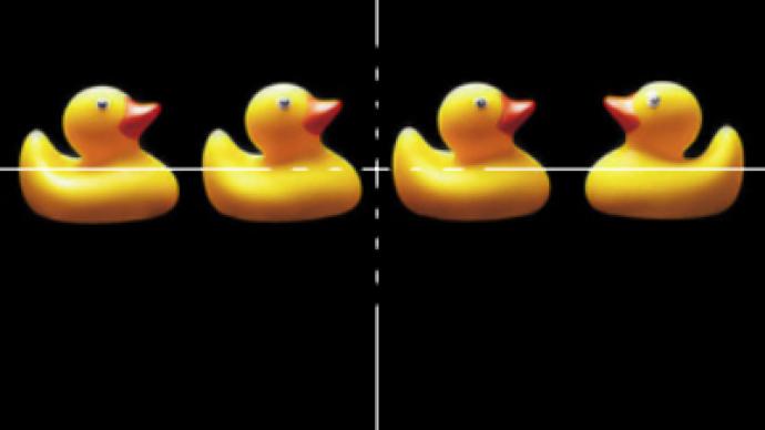 Decoy ducks provoke shootout
