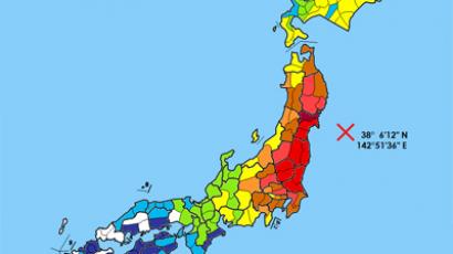 Strong quake rocks Tokyo region hours after 6.8 off-shore tremor
