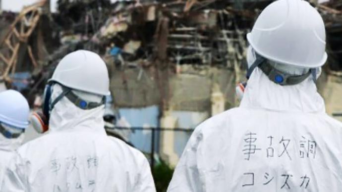 Japanese government too slow - IAEA