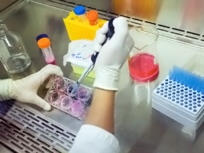 Hopes For Medical Breakthroughs In Stem Cell Research Dashed Rt World