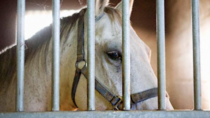 Fury over horses “burnt alive” to stop epidemic