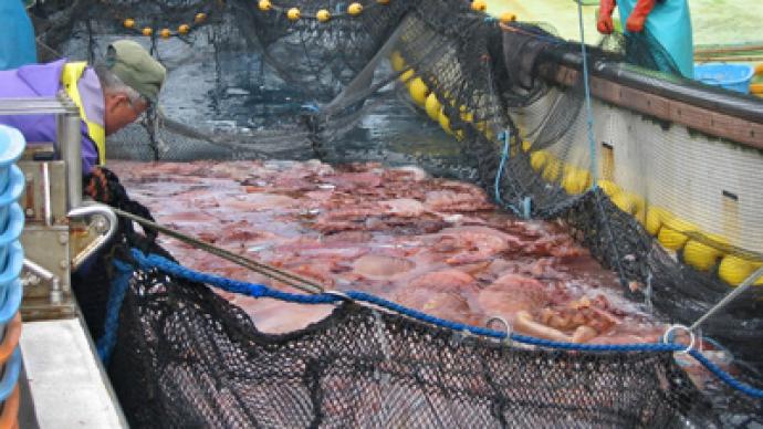 Fishy help? Controversy over Japan food aid from tainted areas
