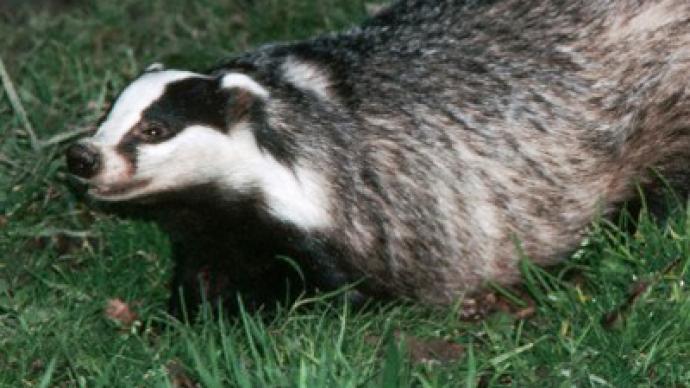 Cage fighters: Inmates flee Kiev zoo hell