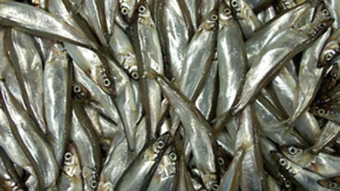 Russian border guard chopper shells Japanese poachers