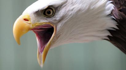 “Internet a very large-scale spying machine” – info leaking site co-founder