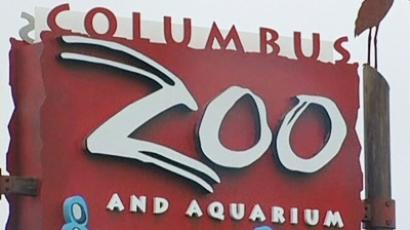 I can haz wild kitty? Ohio Supreme Court asked to rule on bobcat ownership